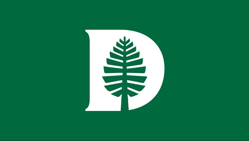 d-pine-color-combinations